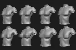 Female breast set01 3D model