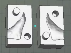 Foot Mold
