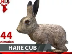 Hare cub 3D model