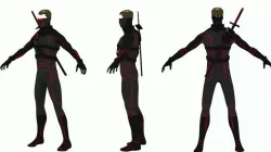 Model ninja  3D model