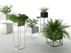 Perforated Box Planters with Plants 3D model