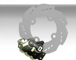 Rear disc with caliper