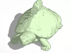 Robot Turtle