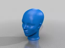 Simple Human Head Model