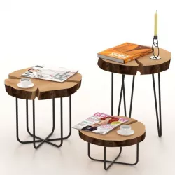 Slab coffee table set 3D model