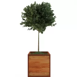 small tree in wood box 3D model