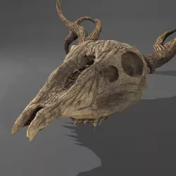 Stag Skull 3D model