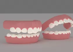teeth  3D model