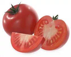 tomato comp 3D model