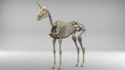 animated unicorn skeleton 3D Models | Page 1 | STLFinder