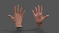 VR Hands - Male Hands Low-poly  3D model