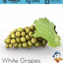 White Grapes 3D model