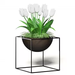 White Tulips 3D Model 3D model