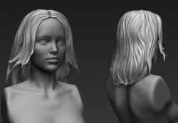 Zbrush Hair Sculpt 03 | 3D model