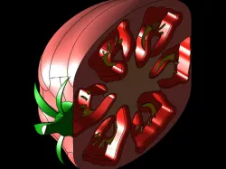 3D Tomato Slice