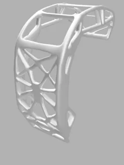 Atlas Robot Rollcage Back Skeleton