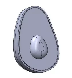 Avocado Half