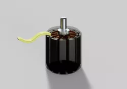 Brushless DC Electric Motor