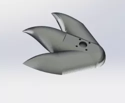 foot model