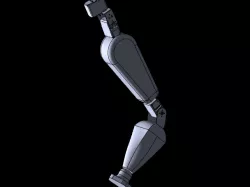 Leg Assembly for Humanoid Robot