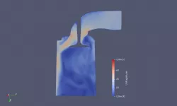 Leyland Mini Inlet Channel CFD Simulation