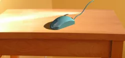 Mouse