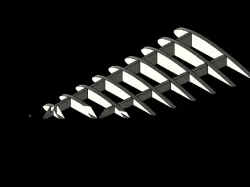Plane Wing Skeleton