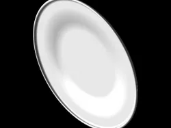 Plate
