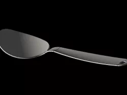 Spoon