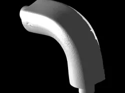 T1_SS 3D Scan