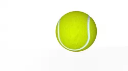 Tennis Ball