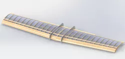 Wing