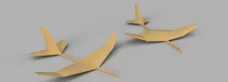 Wooden Hand Glider