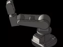 Arm