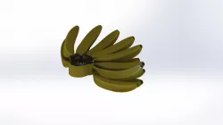 Banana bunch