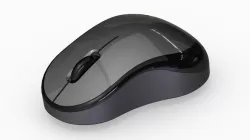 computer mouse