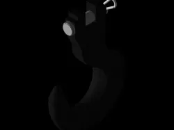 Crane Hook