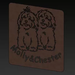 Dog Havaneser Molly&Chester