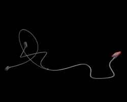 Earphones