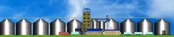 Is soybean dust explosive?