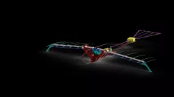 Ornithopter (Mechanical Bird)