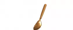 SPOON
