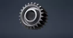 Spur gear
