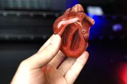 The best fully colored 3D heart ever printed
