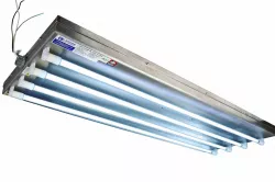 144W Industrial UVC Fluorescent Fixture - 304 SS - (4) 4' UV T8 Lamps - Surface Mount
