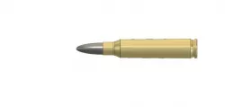.223 Remington Bullet