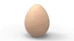 Egg Shell