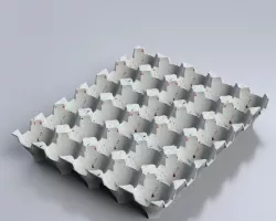 egg tray