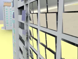 HIH Mirror