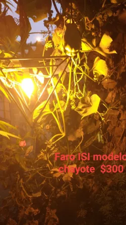Lampara modelo chayote